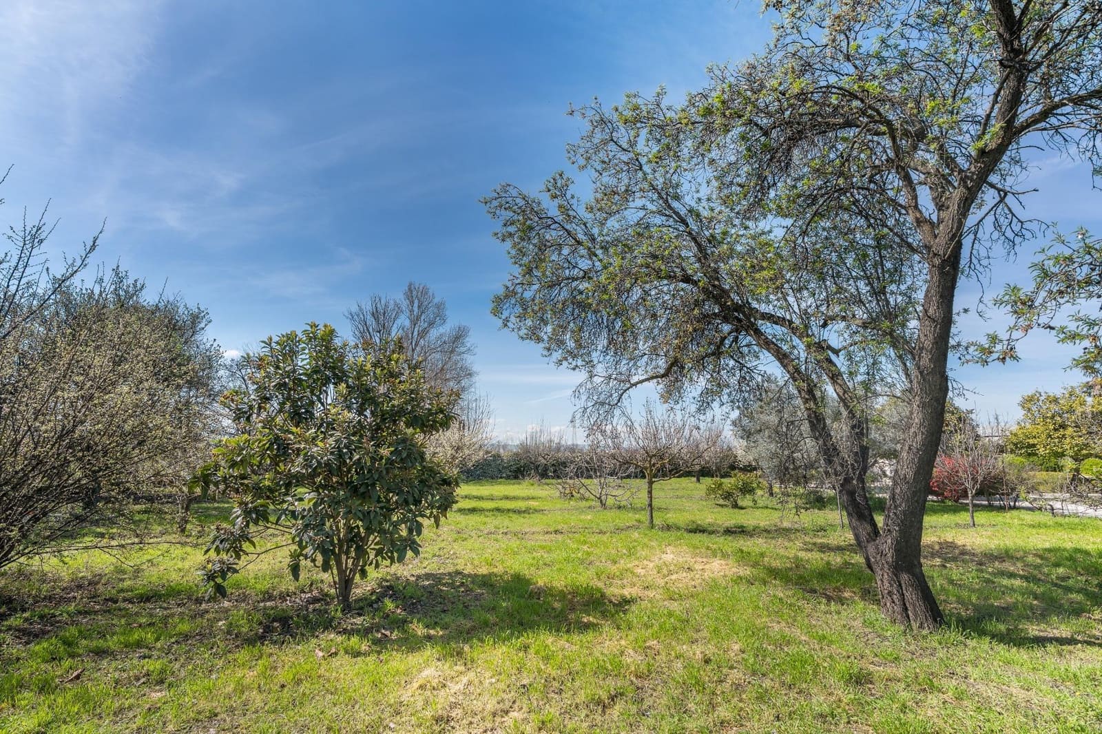 6 quarto Moradia para venda em Vegas del Genil com piscina garagem - 695 000 € (Ref: 9720220)