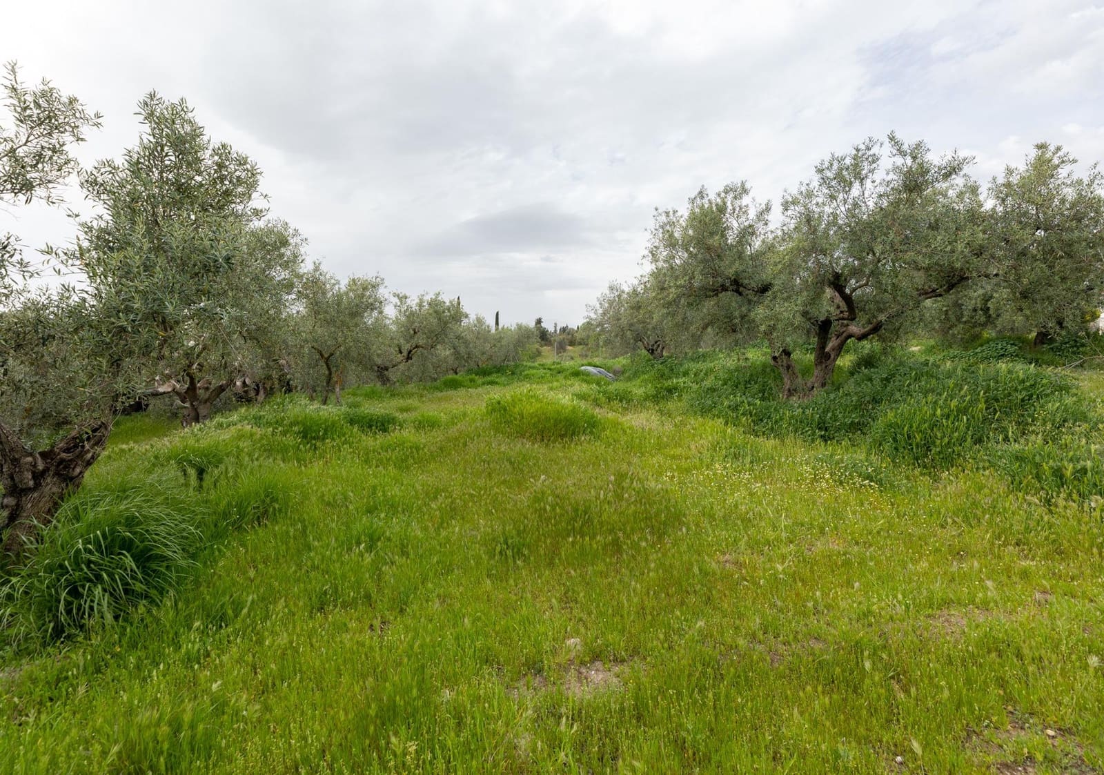 3 makuuhuone Maalaistalo myytävänä paikassa Las Gabias mukana uima-altaan - 245 000 € (Ref: 9770843)