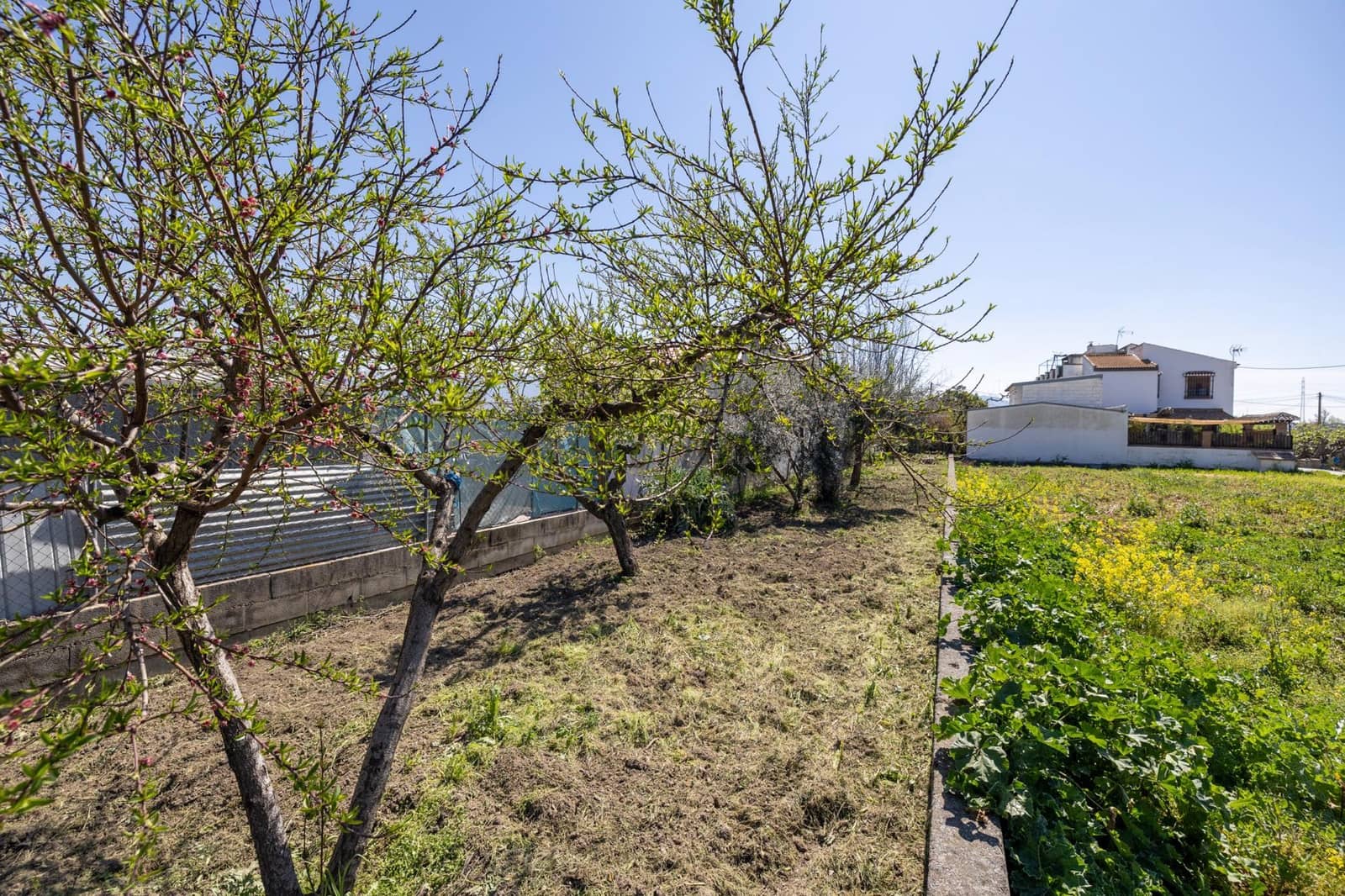 3 camera da letto Finca/Casa di Campagna in vendita in Armilla con garage - 269.999 € (Rif: 9791286)