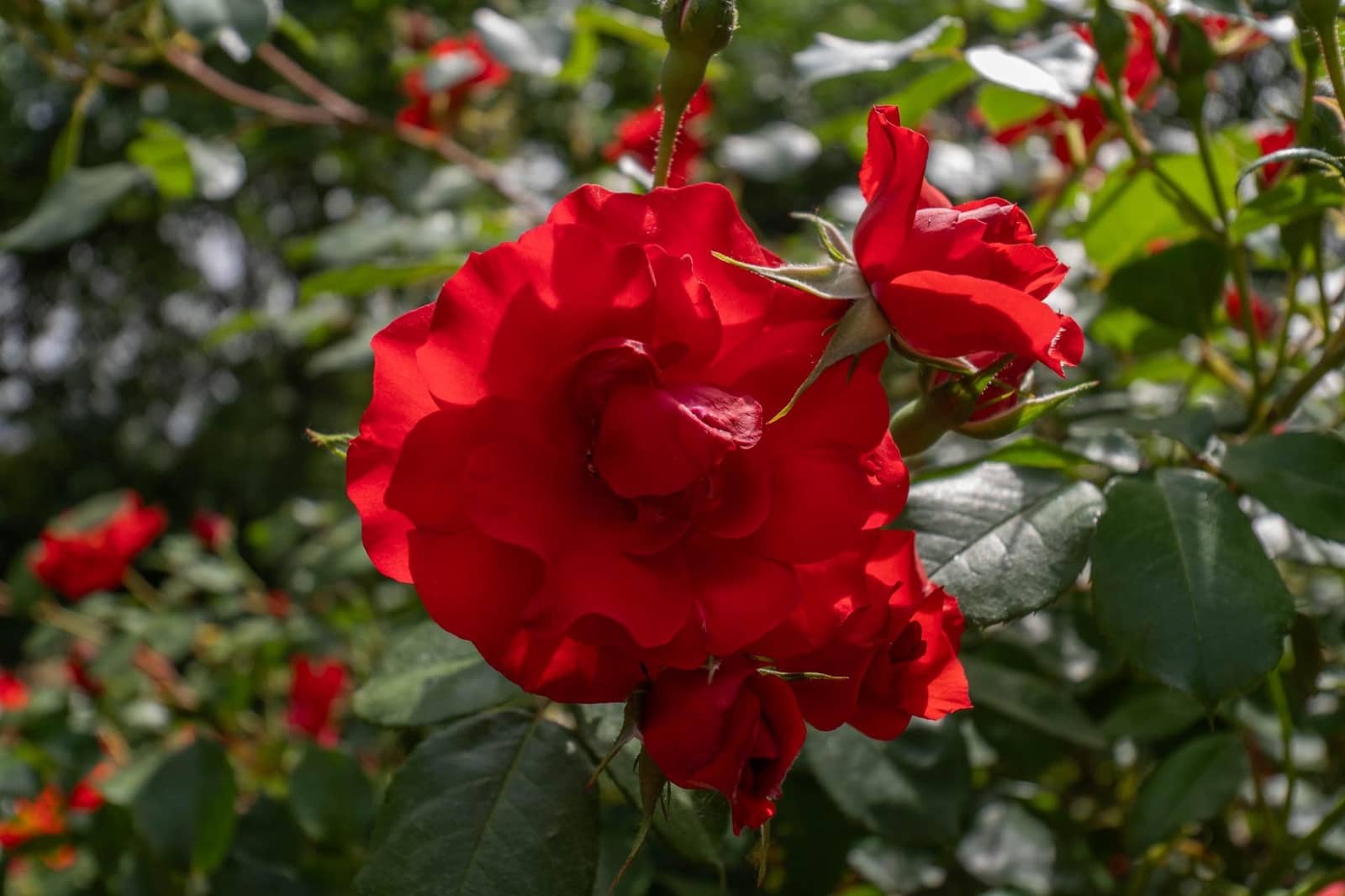 3 quarto Apartamento para venda em Granada cidade com piscina garagem - 395 000 € (Ref: 9804592)