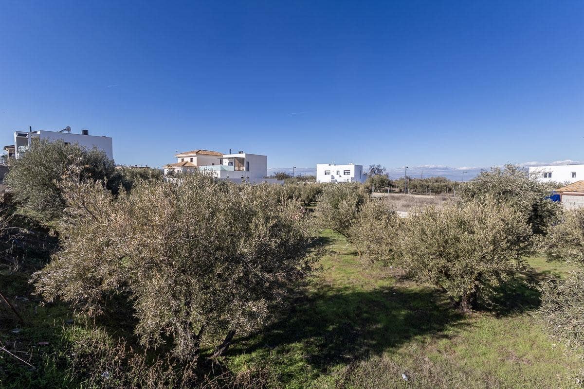Tontti myytävänä paikassa La Zubia - 100 000 € (Ref: 9812347)