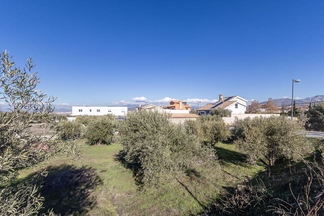 Tontti myytävänä paikassa La Zubia - 100 000 € (Ref: 9812347)