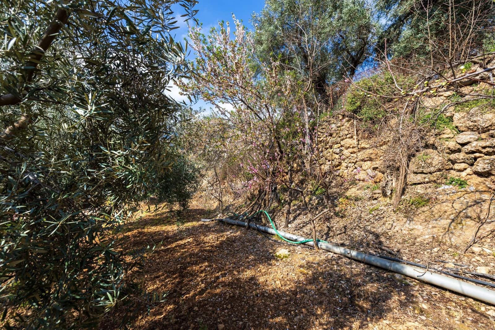 6 bedroom Villa for sale in Guejar Sierra with pool garage - € 430,000 (Ref: 9822835)