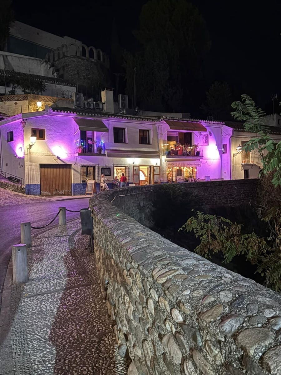 5 bedroom Restaurant/Bar for sale in Granada city with garage - € 874,900 (Ref: 9927672)
