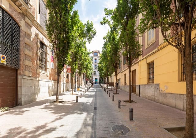 9 soverom Leilighet til salgs i San Matías - Realejo, Granada by - € 1 280 000 (Ref: 9958150)