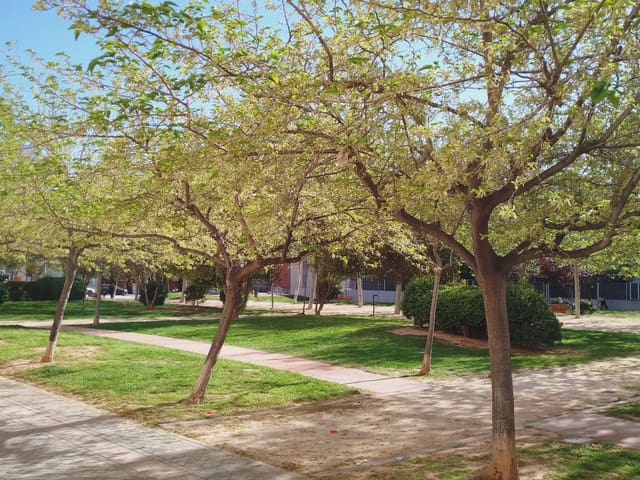 3 camera da letto Appartamento in vendita in Valterna, Paterna - 359.900 € (Rif: 9793669)