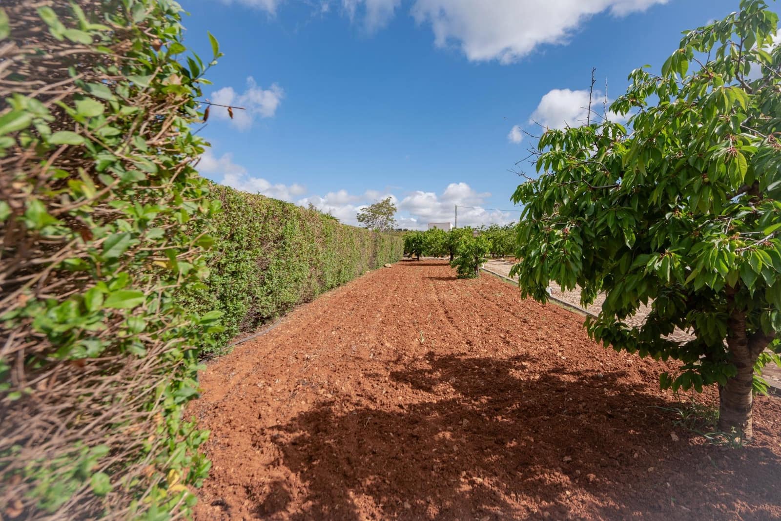 2 bedroom Finca/Country House for sale in Villanueva del Rosario - € 375,000 (Ref: 10009637)