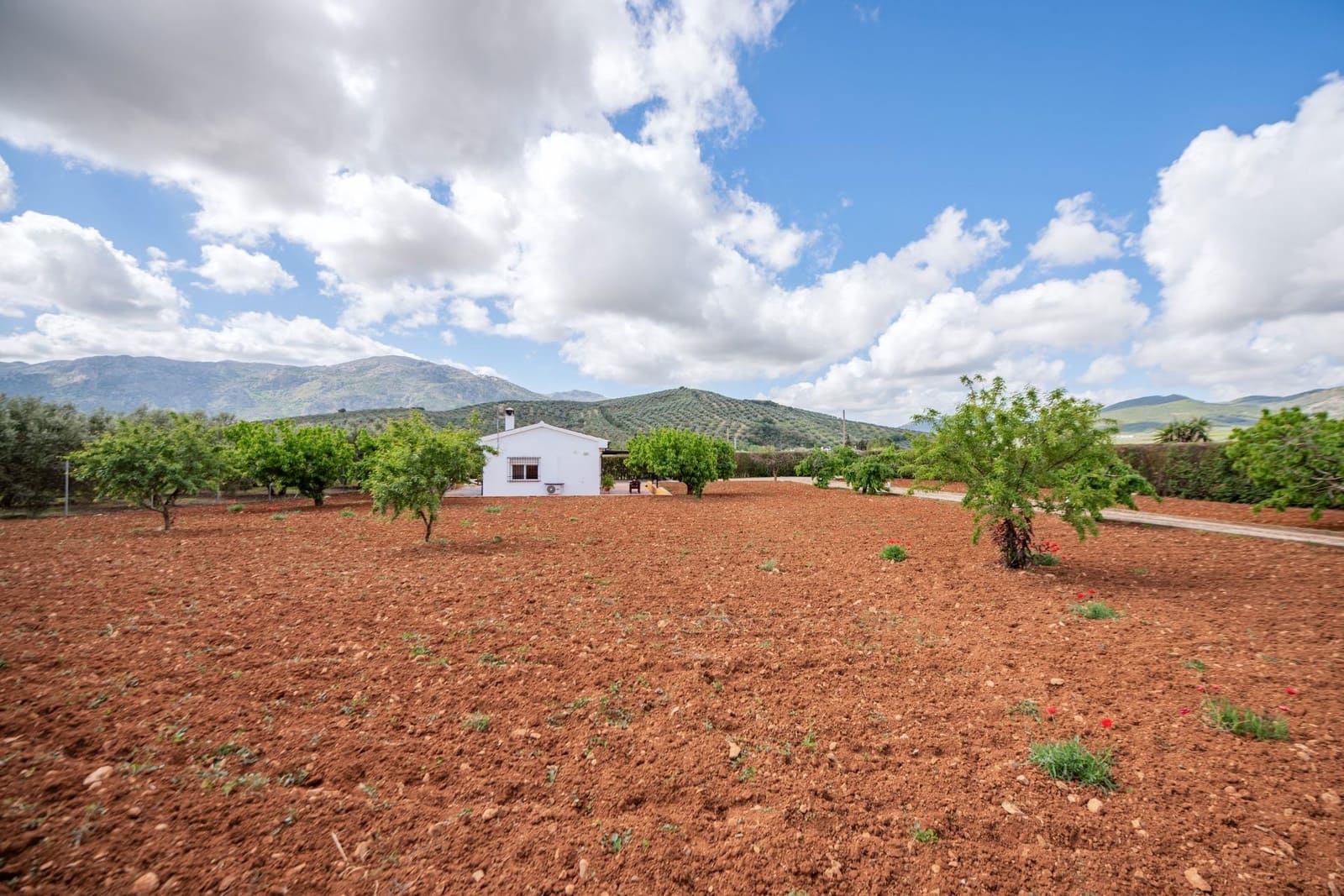 2 bedroom Finca/Country House for sale in Villanueva del Rosario - € 375,000 (Ref: 10009637)
