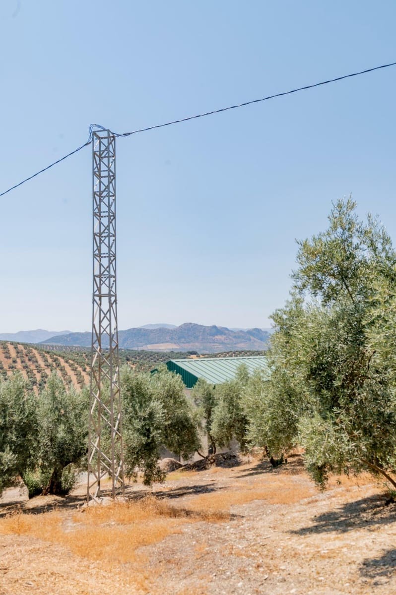 Terreno/Finca Rústica en Archidona en venta - 173.000 € (Ref: 10009640)