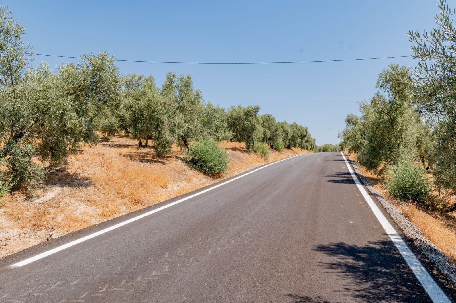 Terreno/Finca Rústica en Archidona en venta - 173.000 € (Ref: 10009640)