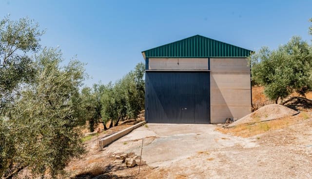 Terreno/Finca Rústica en Archidona en venta - 173.000 € (Ref: 10009640)