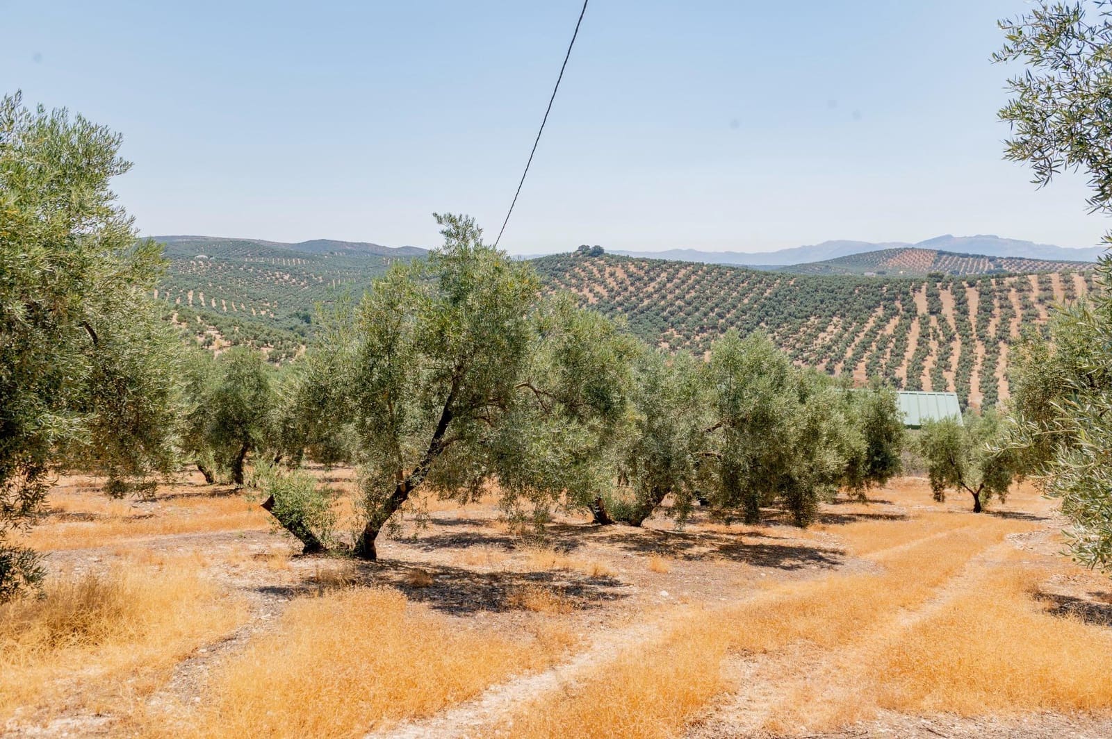 Terreno/Finca Rústica en Archidona en venta - 173.000 € (Ref: 10009640)
