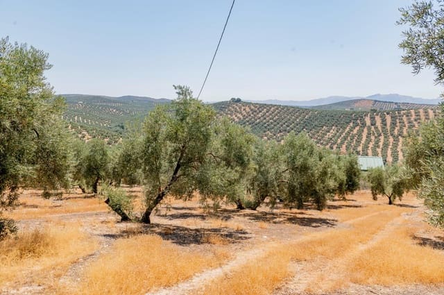 Terreno/Finca Rústica en Archidona en venta - 173.000 € (Ref: 10009640)