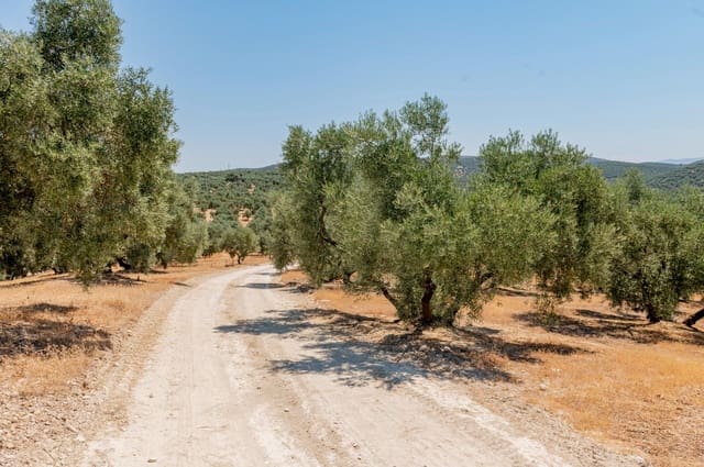 Terreno/Finca Rústica en Archidona en venta - 173.000 € (Ref: 10009640)