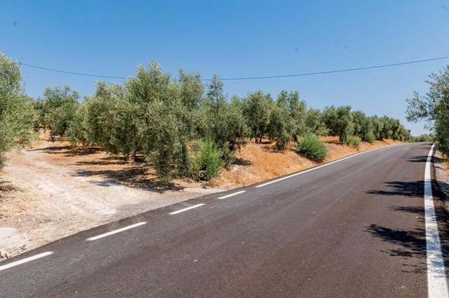 Terreno/Finca Rústica en Archidona en venta - 173.000 € (Ref: 10009640)
