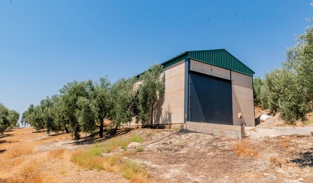 Terreno/Finca Rústica en Archidona en venta - 173.000 € (Ref: 10009640)