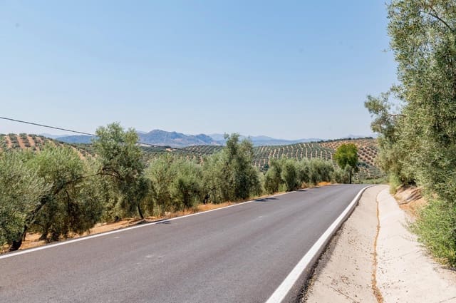 Terreno/Finca Rústica en Archidona en venta - 173.000 € (Ref: 10009640)