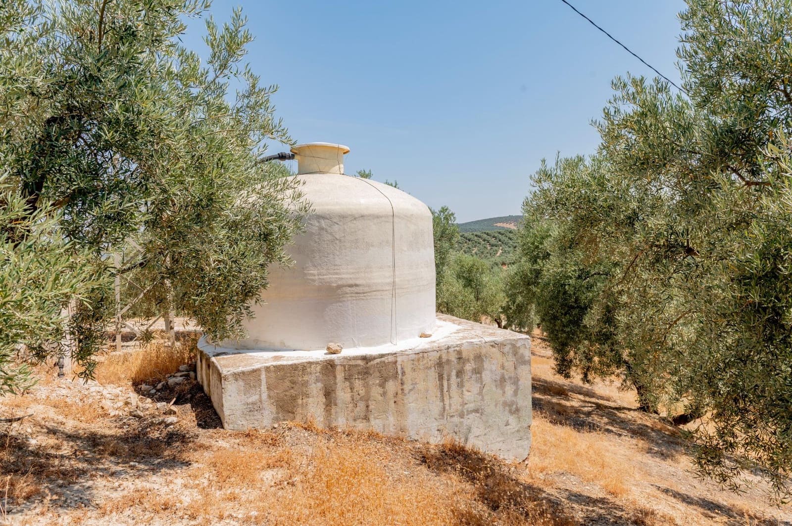 Terreno/Finca Rústica en Archidona en venta - 173.000 € (Ref: 10009640)