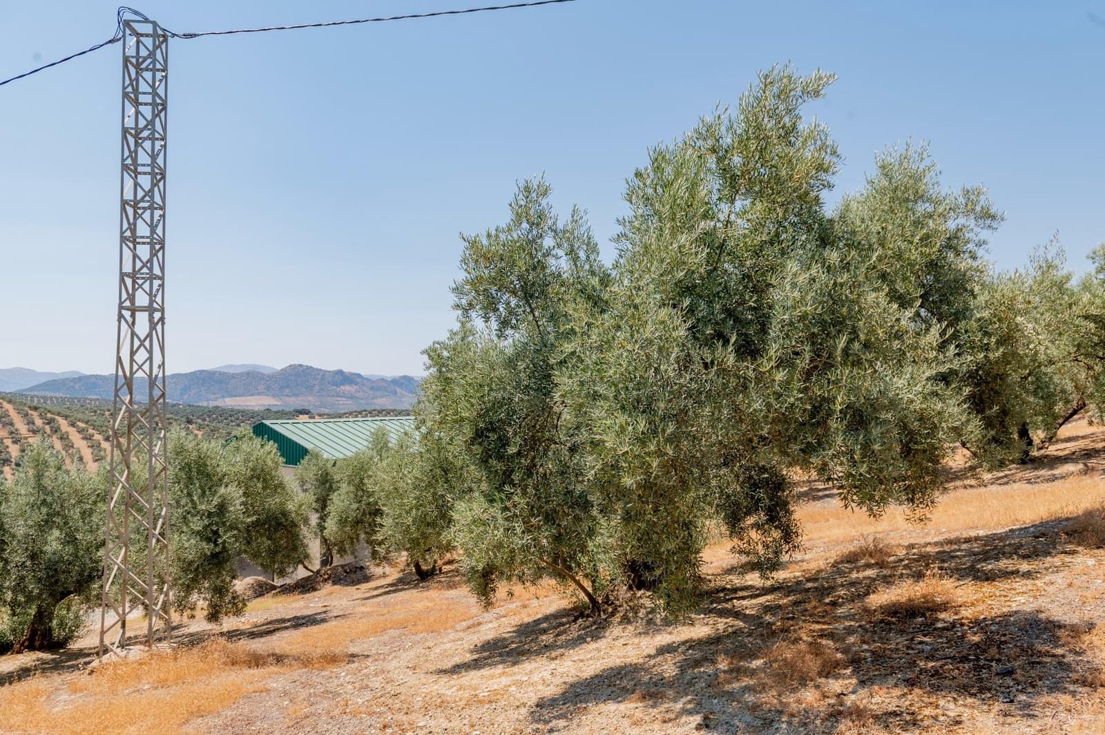 Terreno/Finca Rústica en Archidona en venta - 173.000 € (Ref: 10009640)