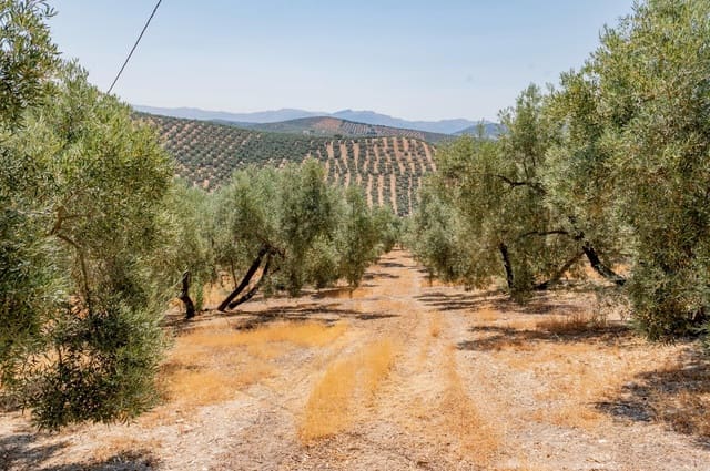 Terreno Non Edificato in vendita in Archidona - 173.000 € (Rif: 10009640)