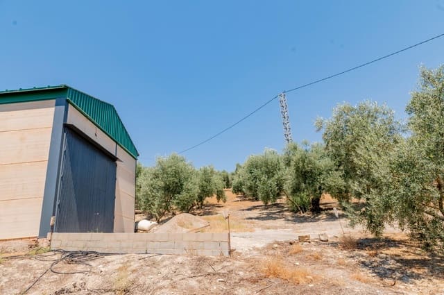 Terreno Non Edificato in vendita in Archidona - 173.000 € (Rif: 10009640)