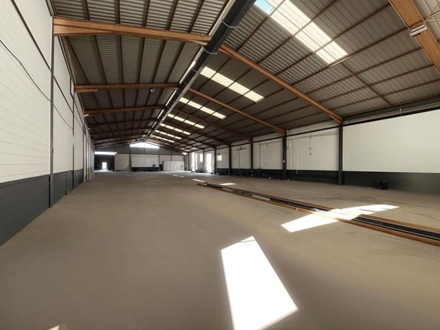 Business for rent in Antequera - € 1,450 (Ref: 10009641)