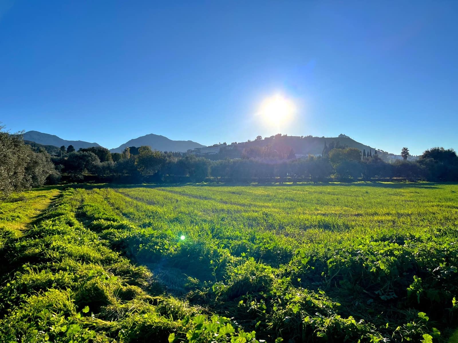 2 sovrum Finca/Hus på landet till salu i Antequera - 140 000 € (Ref: 10009643)