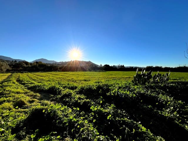 2 sovrum Finca/Hus på landet till salu i Antequera - 140 000 € (Ref: 10009643)