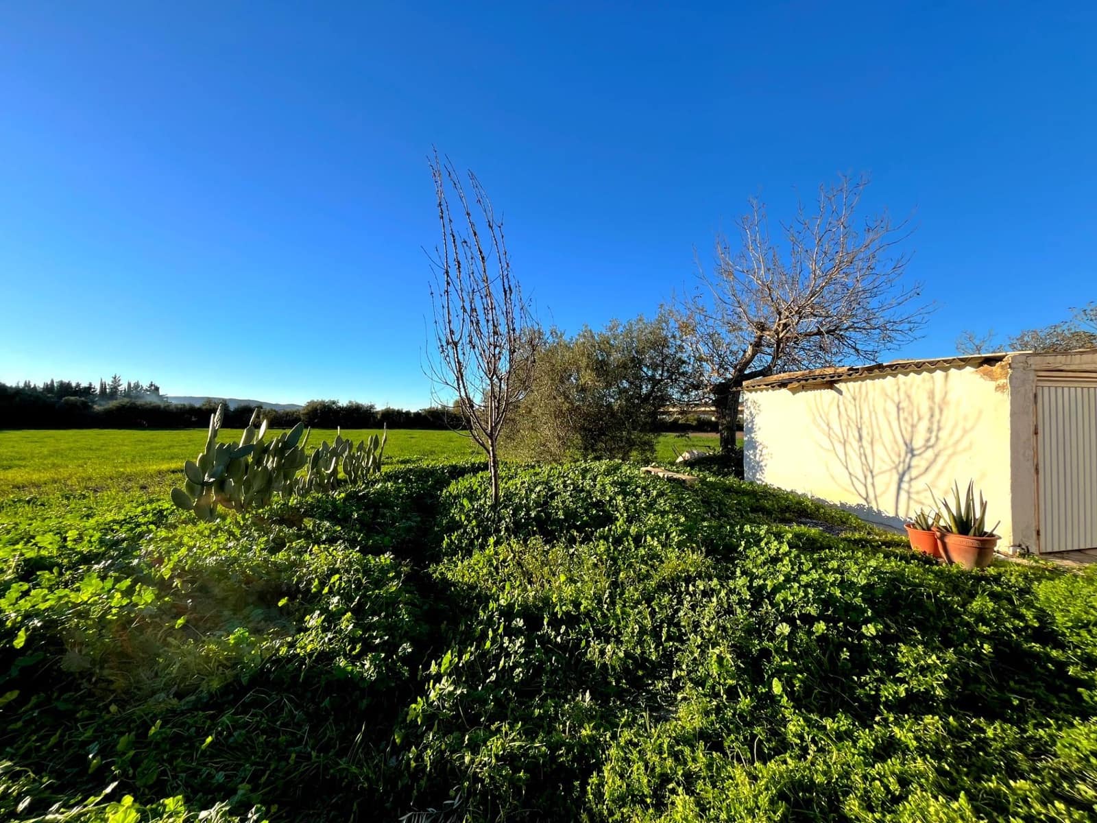 2 sovrum Finca/Hus på landet till salu i Antequera - 140 000 € (Ref: 10009643)