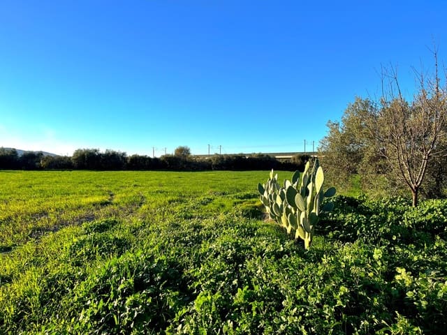 2 sovrum Finca/Hus på landet till salu i Antequera - 140 000 € (Ref: 10009643)