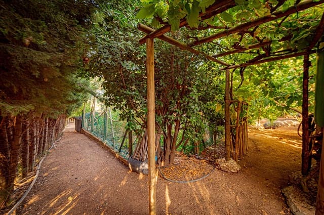2 Zimmer Holzhaus zu verkaufen in Villanueva del Trabuco mit Pool - 155.000 € (Ref: 10155417)