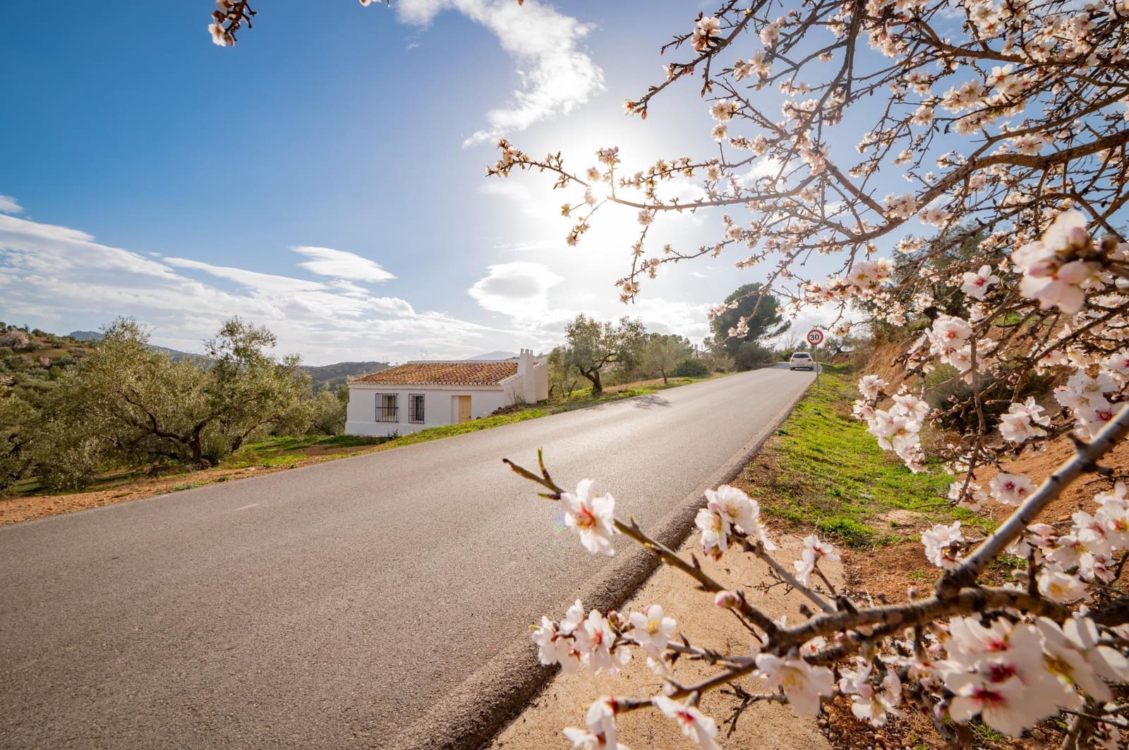 4 sovrum Finca/Hus på landet till salu i Antequera - 249 000 € (Ref: 4816123)