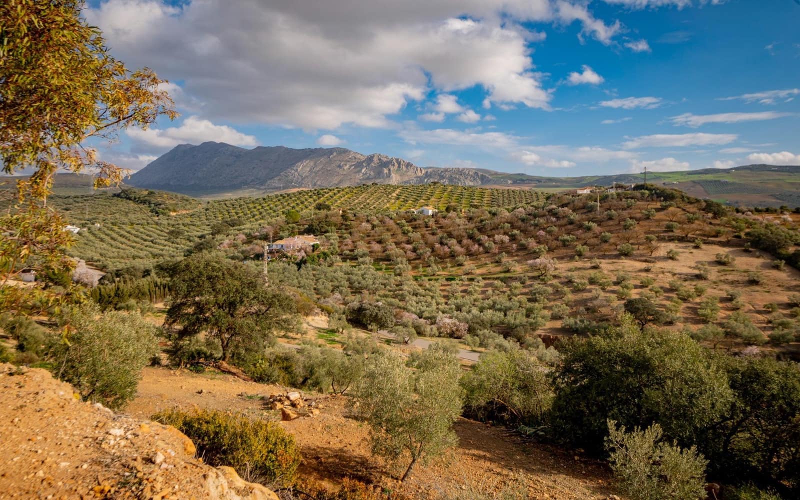 4 sovrum Finca/Hus på landet till salu i Antequera - 249 000 € (Ref: 4816123)