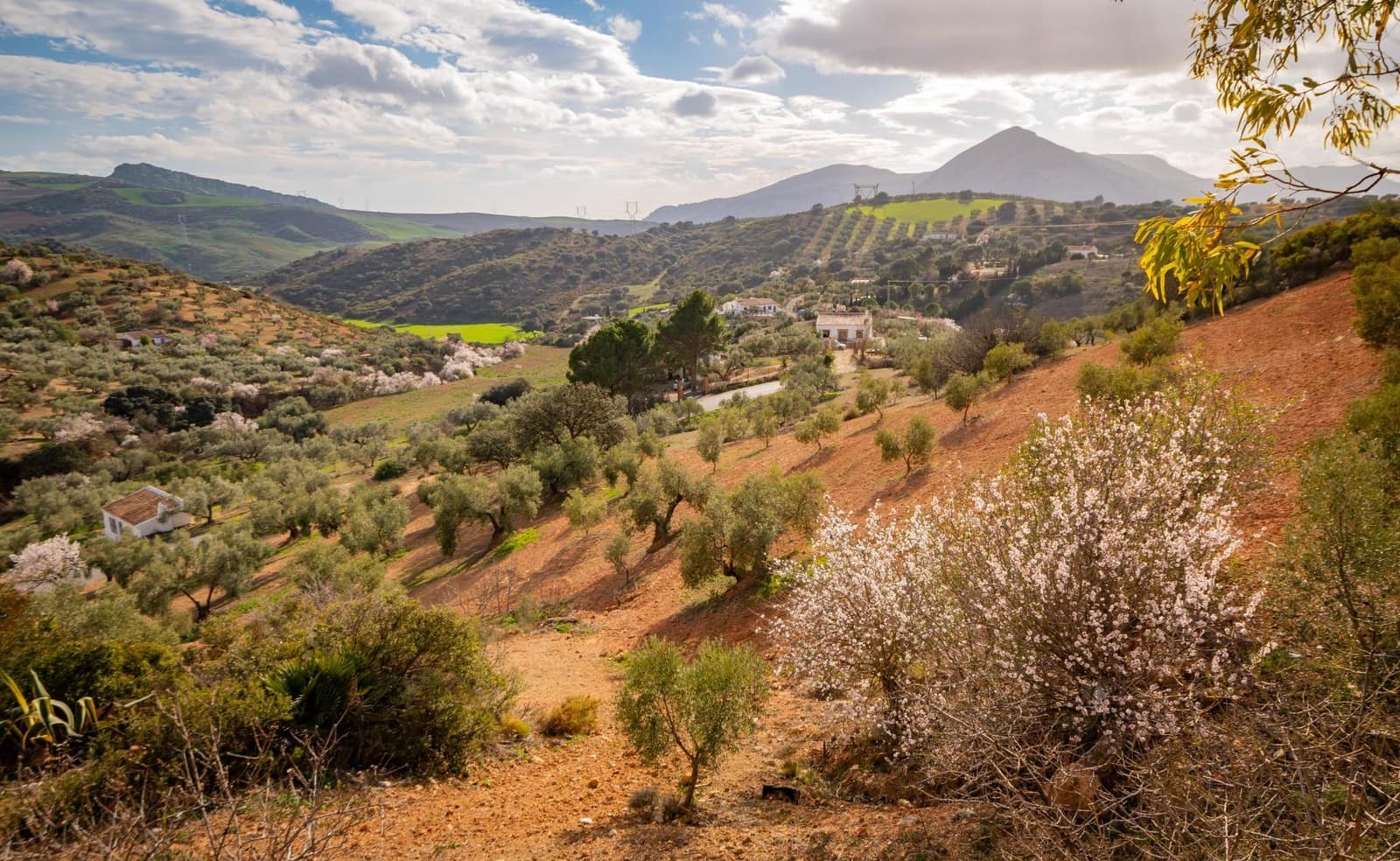 4 sovrum Finca/Hus på landet till salu i Antequera - 249 000 € (Ref: 4816123)