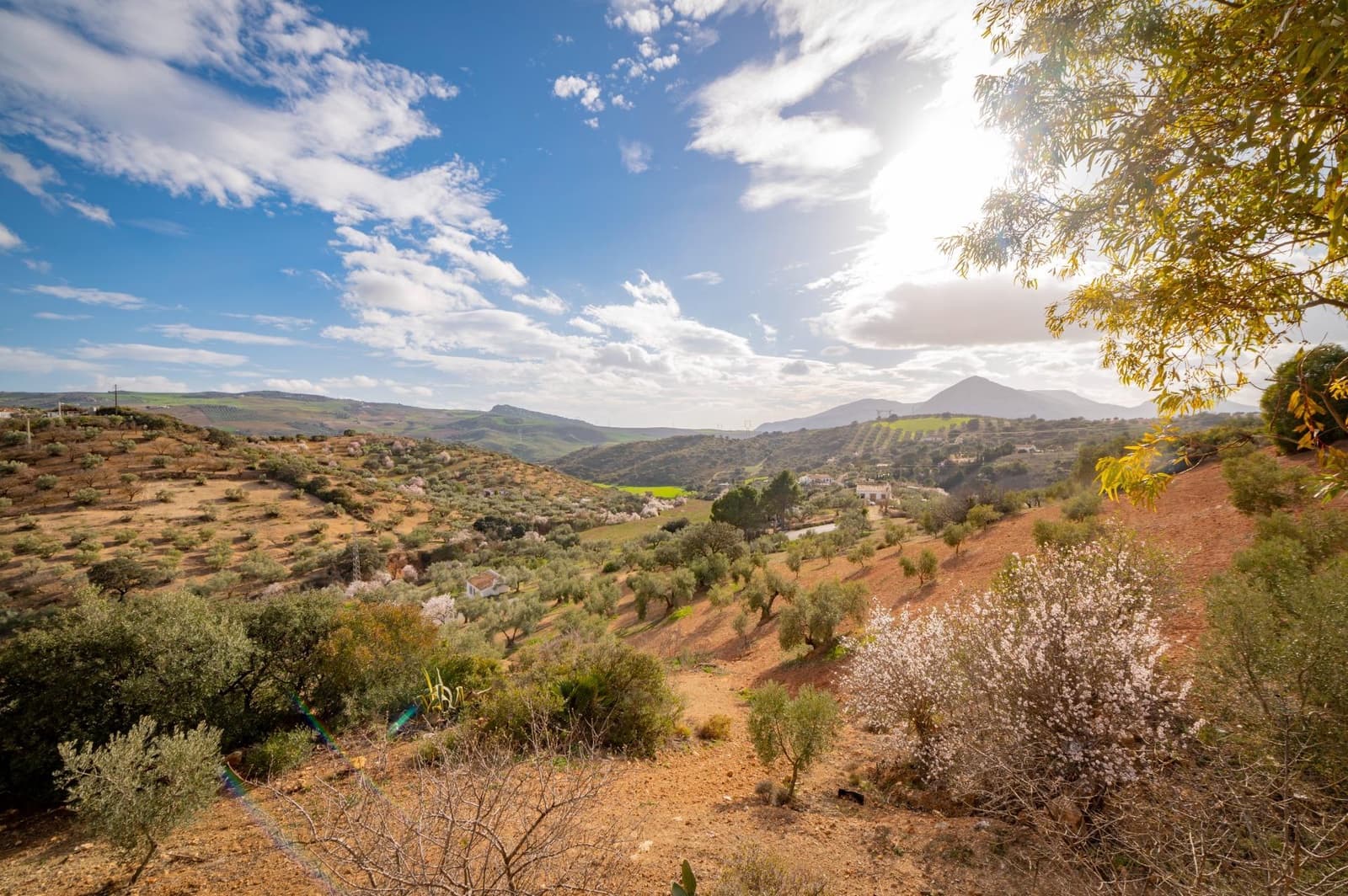 4 sovrum Finca/Hus på landet till salu i Antequera - 249 000 € (Ref: 4816123)