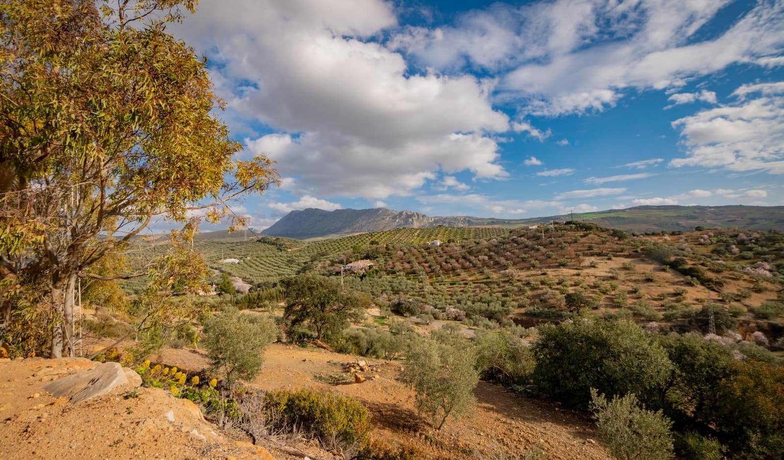 4 sovrum Finca/Hus på landet till salu i Antequera - 249 000 € (Ref: 4816123)