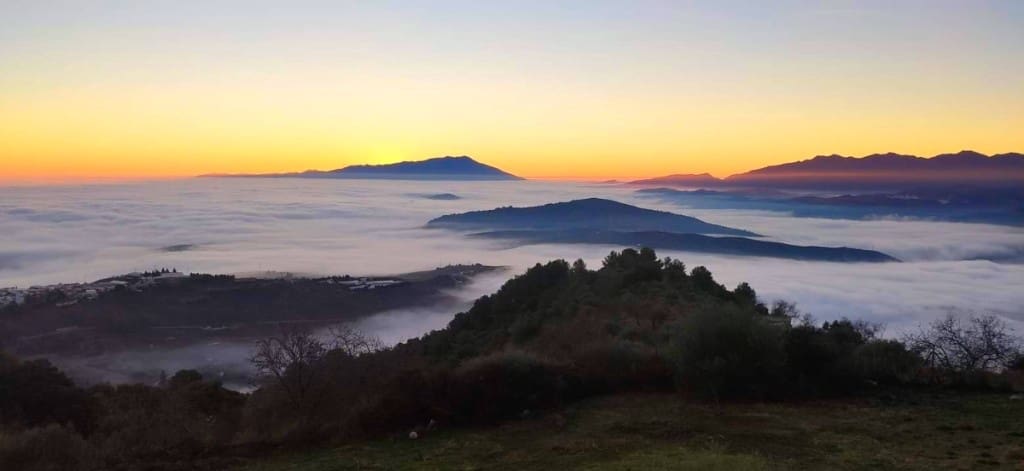 4 sypialnia Finka/Dom wiejski na sprzedaż w Alozaina z basenem - 570 000 € (Ref: 8902917)