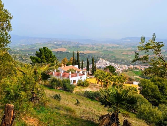 4 sypialnia Finka/Dom wiejski na sprzedaż w Alozaina z basenem - 570 000 € (Ref: 8902917)