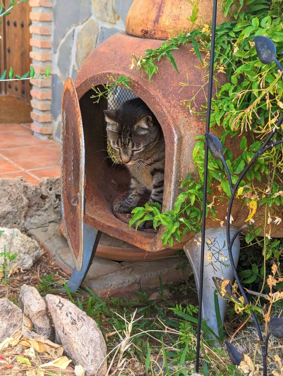 4 sypialnia Finka/Dom wiejski na sprzedaż w Alozaina z basenem - 570 000 € (Ref: 8902917)