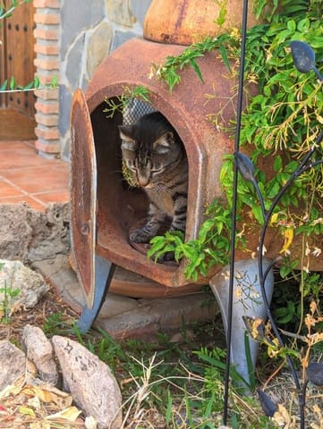 4 sypialnia Finka/Dom wiejski na sprzedaż w Alozaina z basenem - 570 000 € (Ref: 8902917)