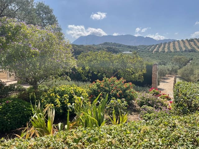 6 soveværelse Finca/Landehus til salg i Antequera med swimmingpool garage - € 545.000 (Ref: 9001015)