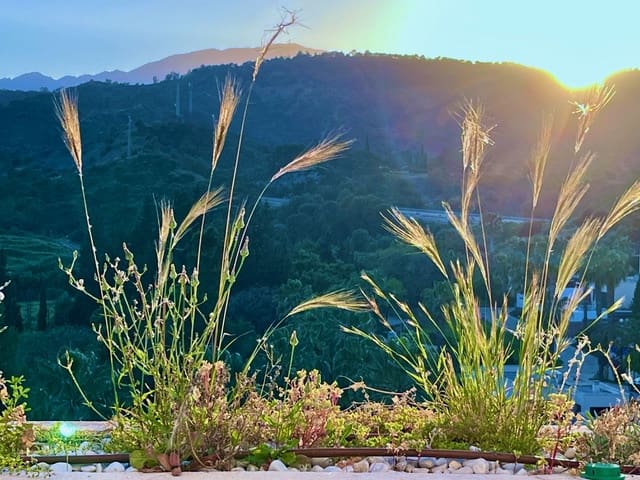 2 sypialnia Apartament na sprzedaż w Los Flamingos z basenem - 270 000 € (Ref: 9455825)