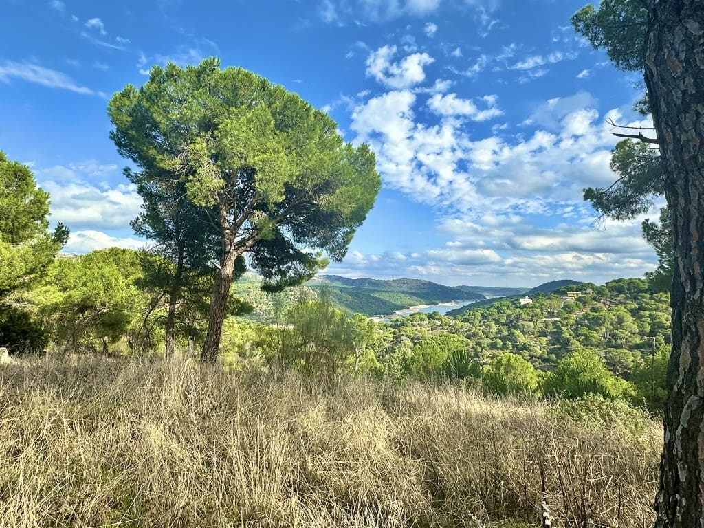 3 soveværelse Villa til salg i San Martin de Valdeiglesias - € 480.000 (Ref: 9491064)