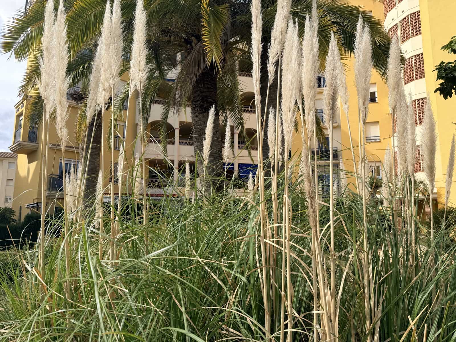 3 soveværelse Lejlighed til leje i Benalmadena med garage - € 1.495 (Ref: 9796110)