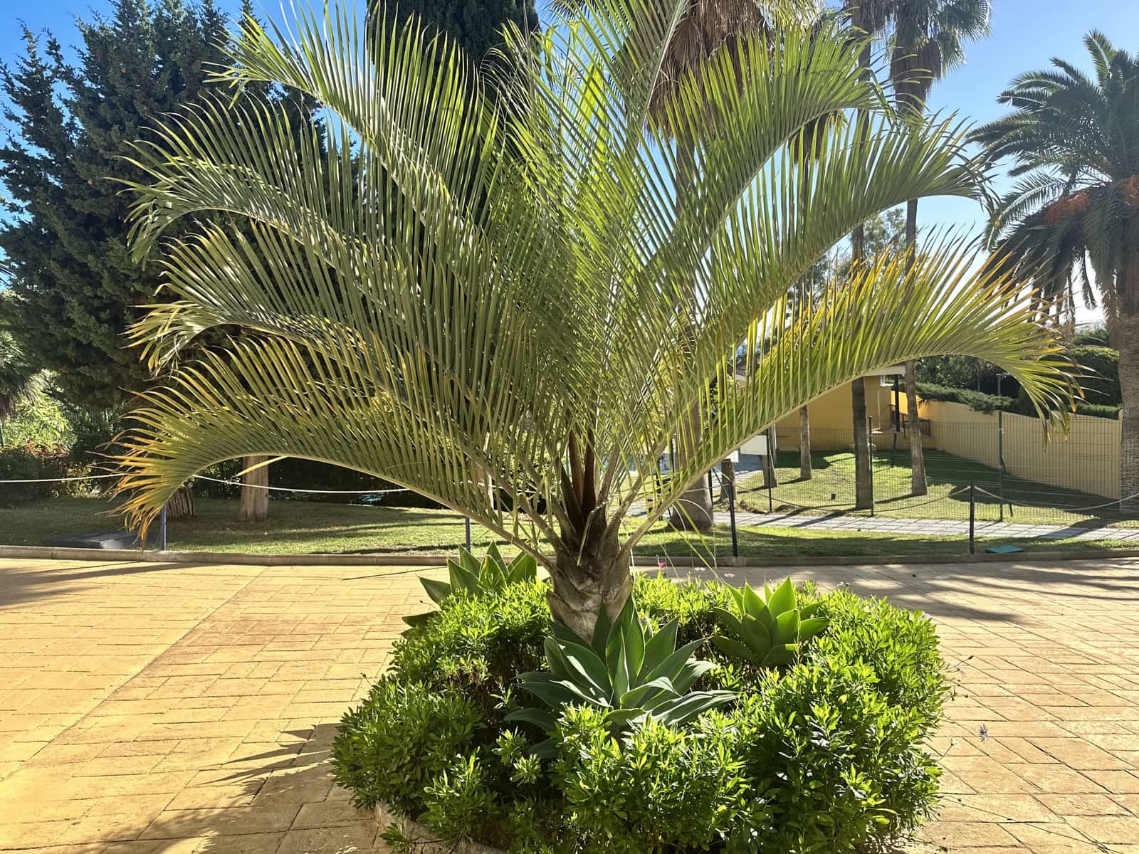 Huoneisto lomavuokrausta paikassa Benalmadena mukana uima-altaan 
autotalli - 790 € (Ref: 9800027)