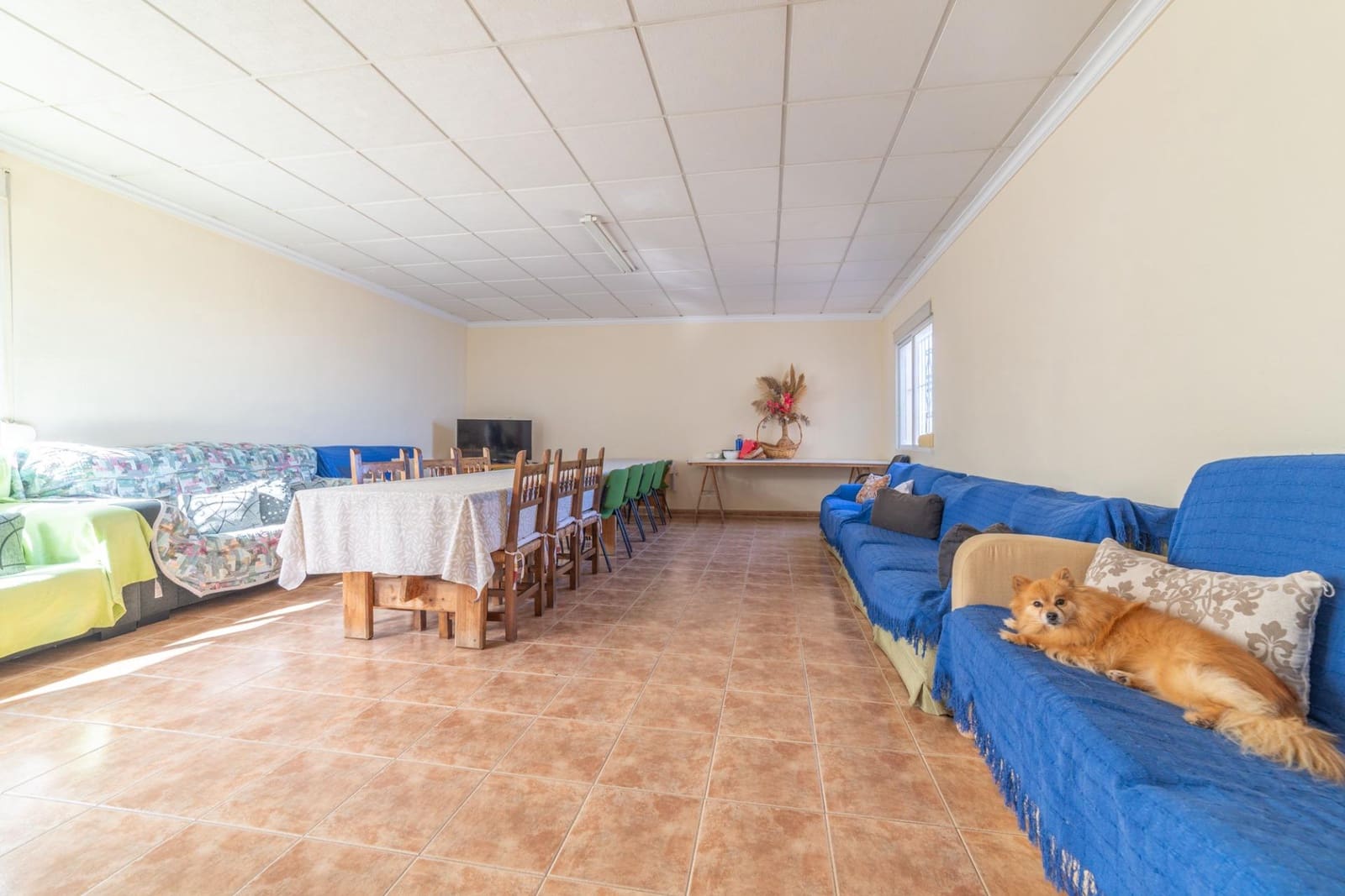 2 camera da letto Finca/Casa di Campagna in vendita in Balsicas con piscina garage - 330.000 € (Rif: 8938616)