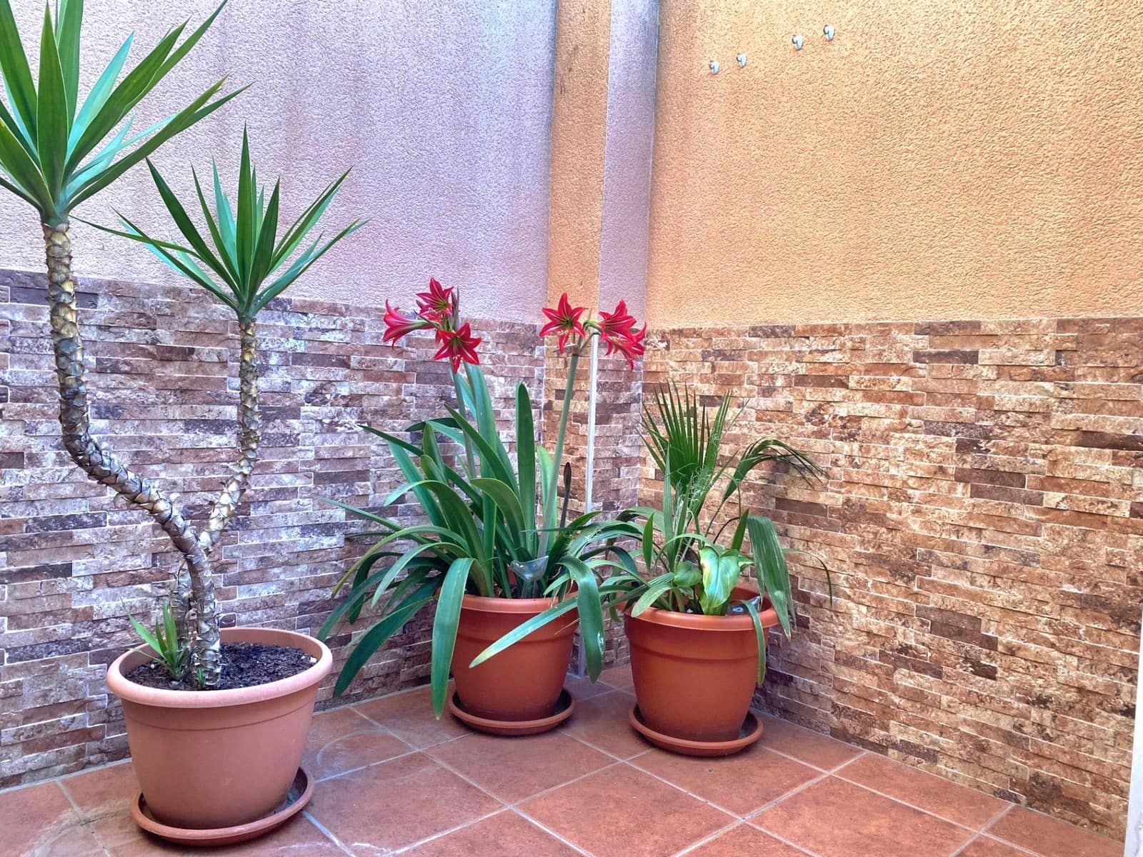 3 soveværelse Rækkehus til salg i San Javier - € 210.000 (Ref: 9415849)