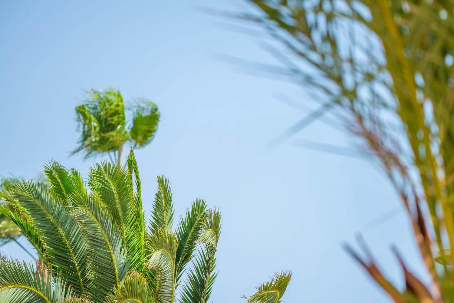 1 soveværelse Studio til salg i Santiago de la Ribera - € 85.000 (Ref: 9527623)