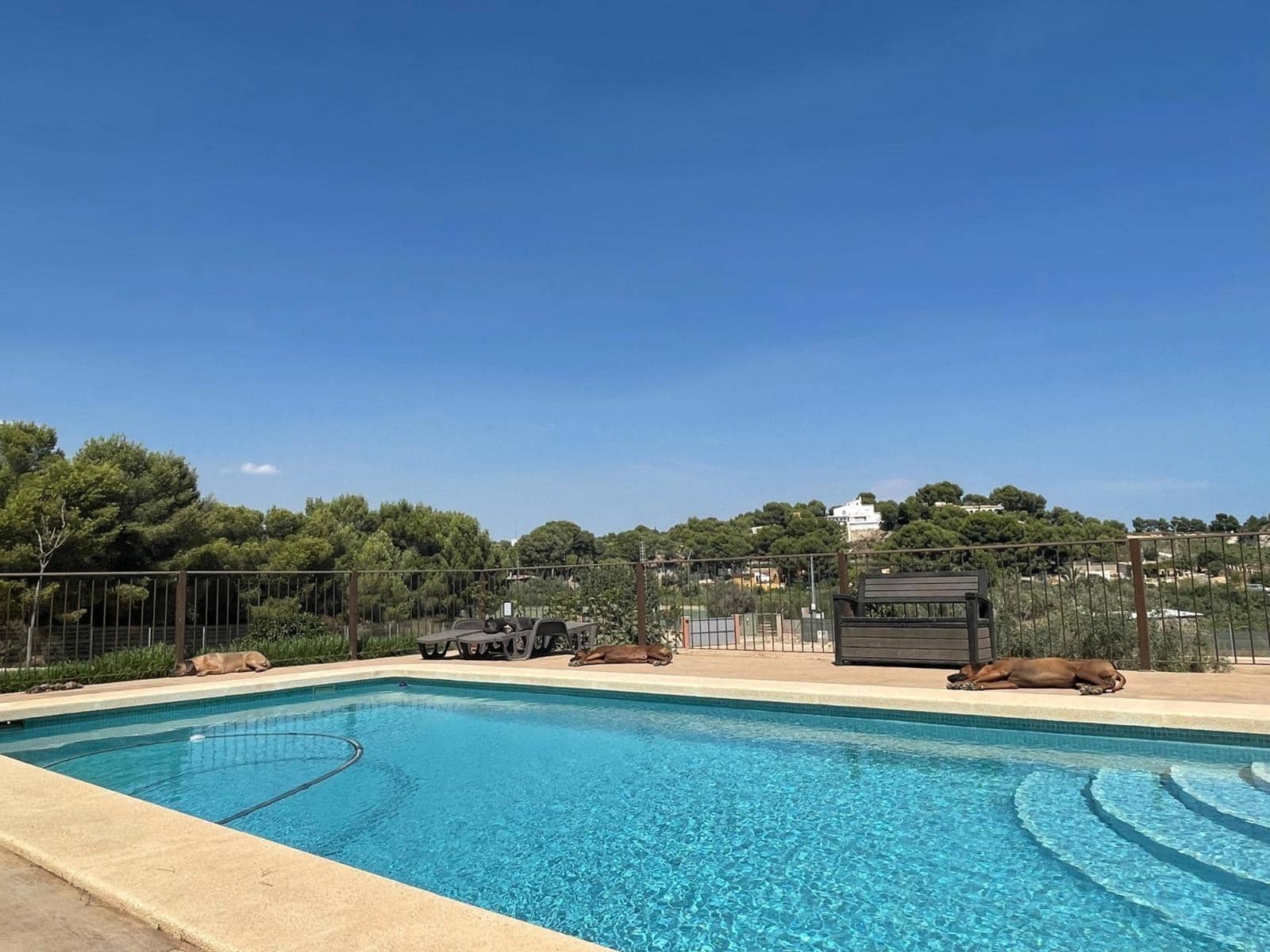 1 Zimmer Finca/Landgut zu verkaufen in Pinar de Campoverde mit Pool - 200.000 € (Ref: 9555668)