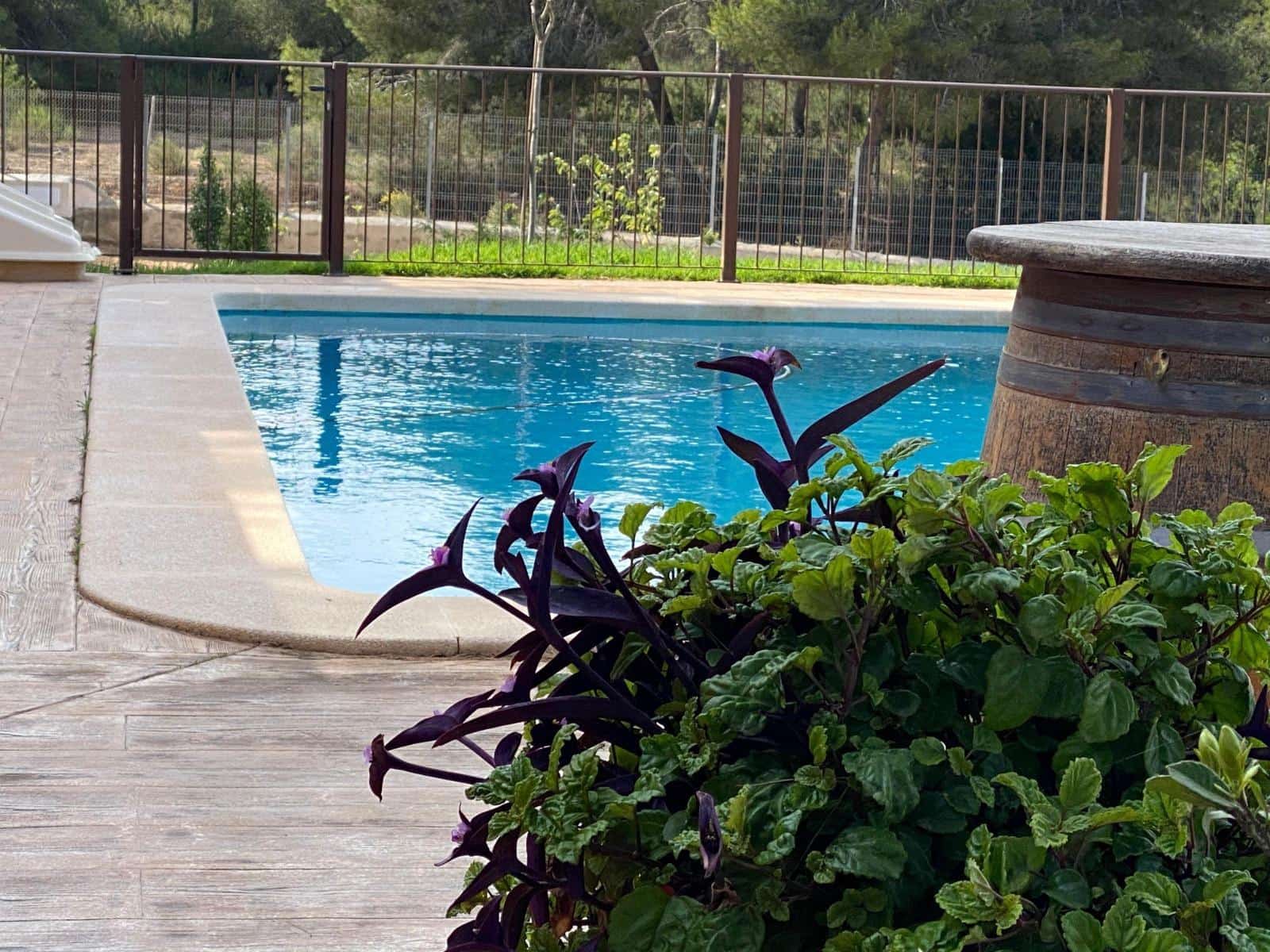 1 Zimmer Finca/Landgut zu verkaufen in Pinar de Campoverde mit Pool - 200.000 € (Ref: 9555668)